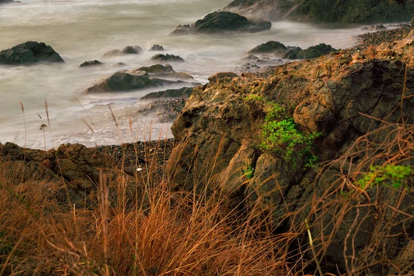 海岸の岩 — ストック写真