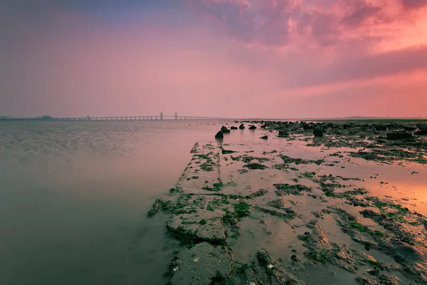바다 해변 미사 — 스톡 사진