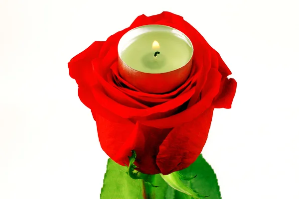 장미와 촛불 로열티 프리 스톡 사진