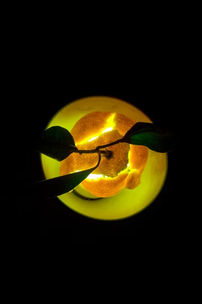 Fruity Light — Stock Photo, Image