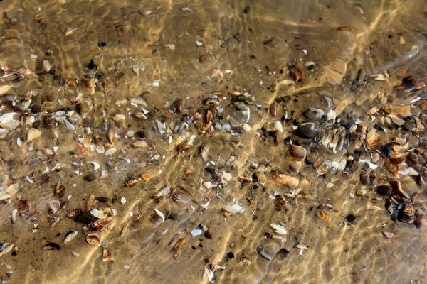 stock image Bottom of the Don River