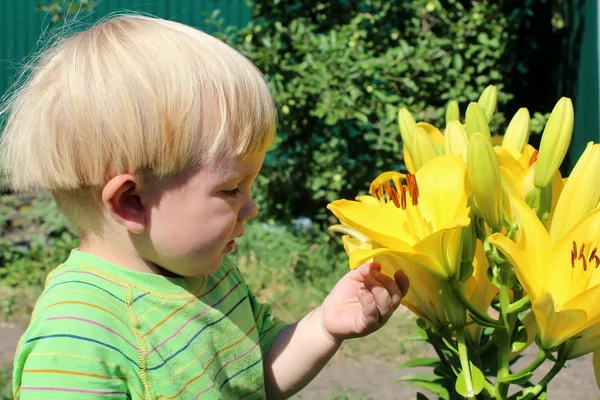 Созерцает лилии ребенка — стоковое фото