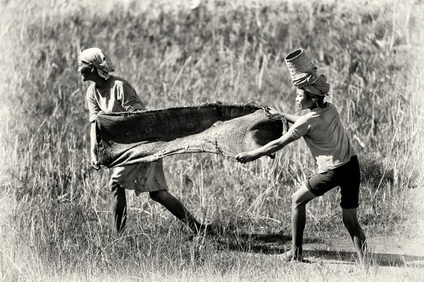 Dos damas trabajan en Madagascar — Foto de Stock