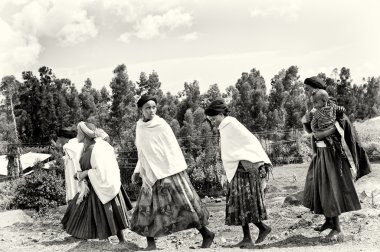 Group of Ethiopian women crosses the field clipart