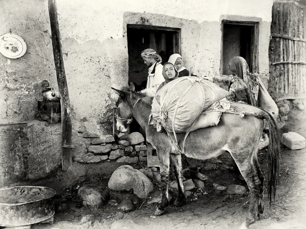 Група Ефіопський навантаження на віслюку — стокове фото