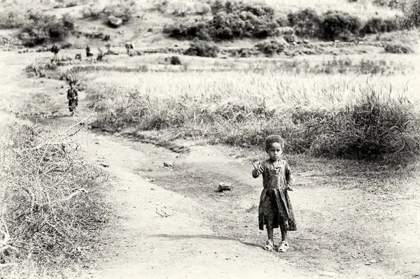 Una muchacha etíope camina por el campo — Foto de Stock