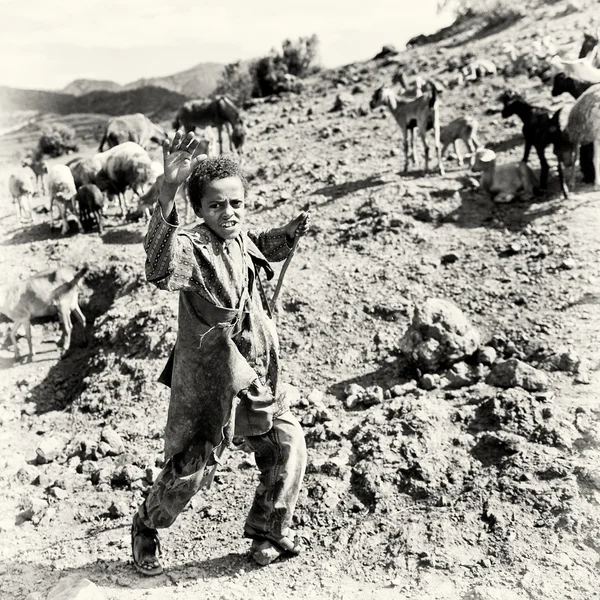 Um menino etíope acena a mão para a câmera no campo de ovelhas — Fotografia de Stock