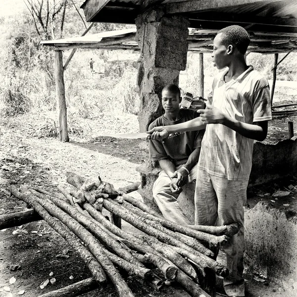 Deux hommes du Bénin viennent d'apporter le bois — Photo