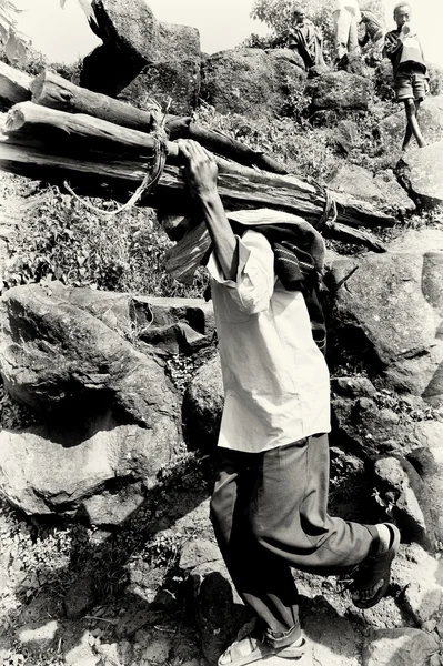 Un Éthiopien avec un tas de bois sur les épaules — Photo