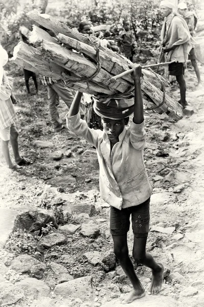 Um jovem etíope com um monte de madeira nos ombros — Fotografia de Stock