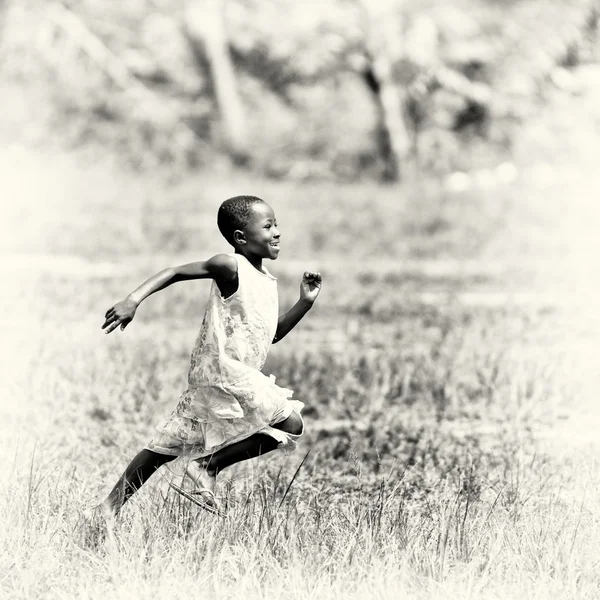Un giovane ghepardo ghanese — Foto Stock