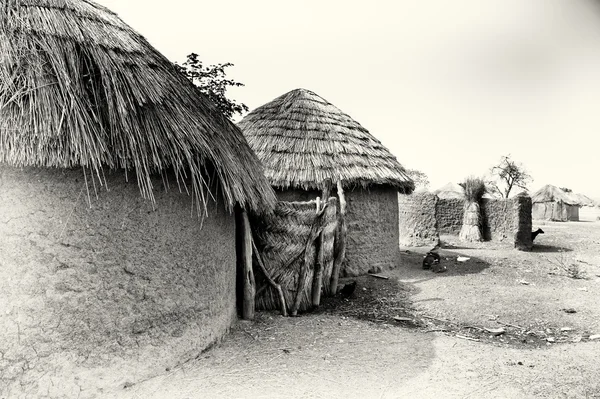 Деревня в Гане — стоковое фото