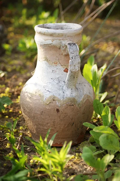 stock image Old jar