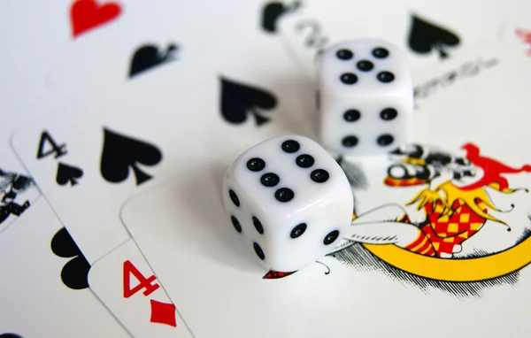 Dados jugando a las cartas — Foto de Stock