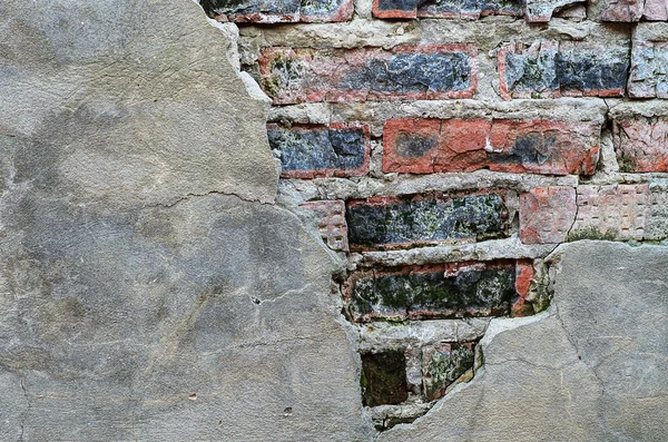 Stock image Old brick wall