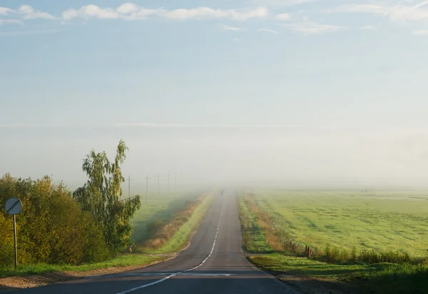 Stock image The road between the fields