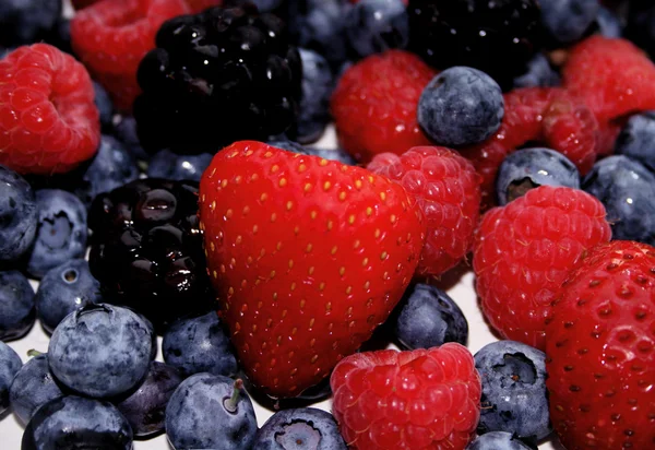 stock image Berries