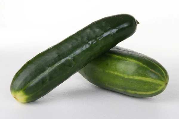 stock image Cucumber