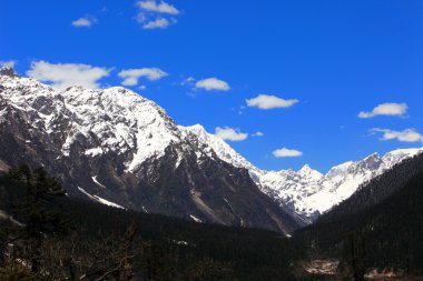 Snow Mountain, Yumthang Valley in Sikkim clipart