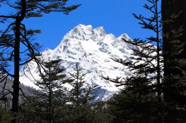 kar dağ, sikkim vadide yumthang