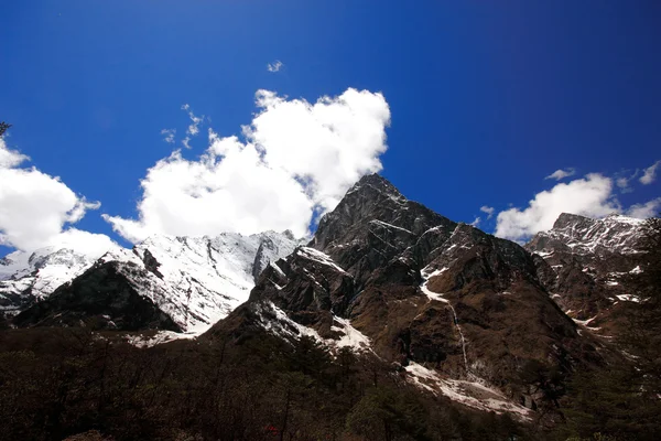 Kar dağ, sikkim vadide yumthang — Stok fotoğraf