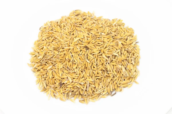 Σωρό από ρύζι — Φωτογραφία Αρχείου