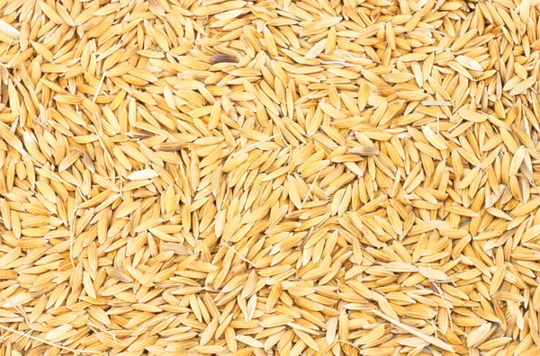 Texture di riso crudo — Foto Stock