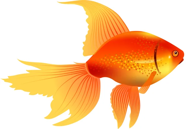 Gele fish — Stockvector