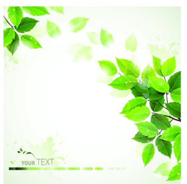 Green leaves clipart