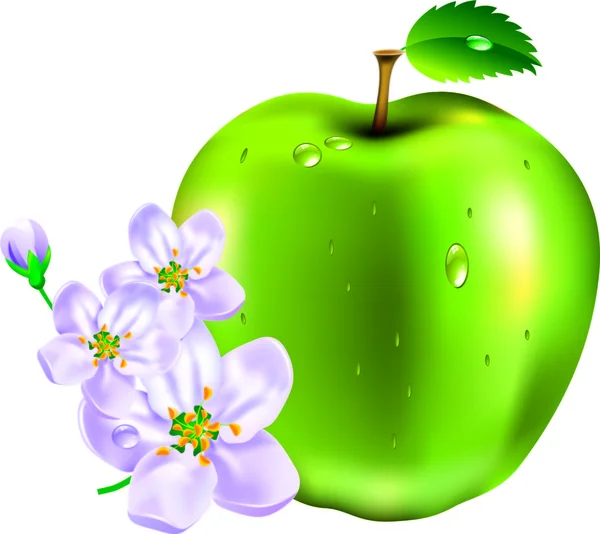 Verde manzana — Vector de stock