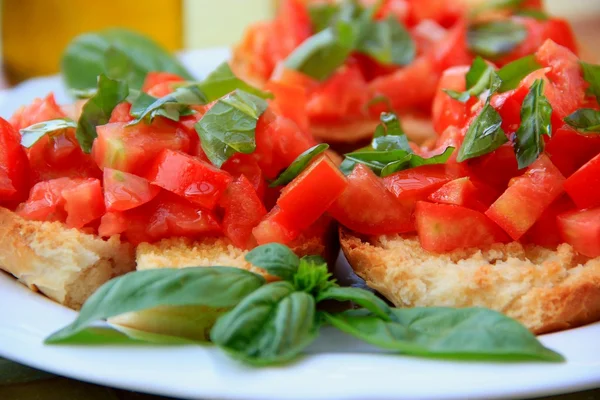 Tomato and basil — Stock Photo, Image