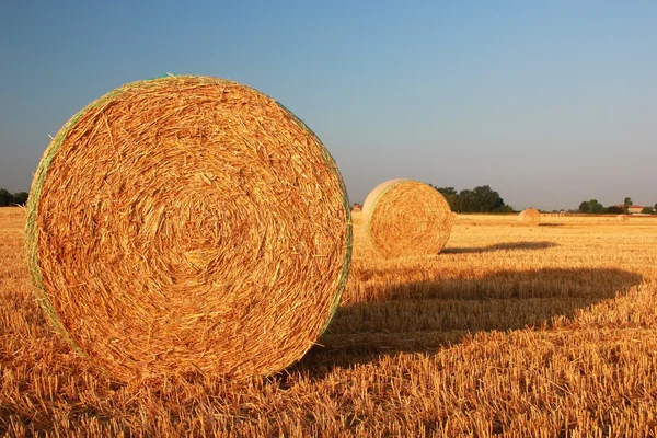 stock image Hay bale