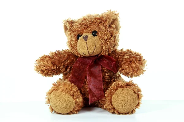 stock image Teddy bear