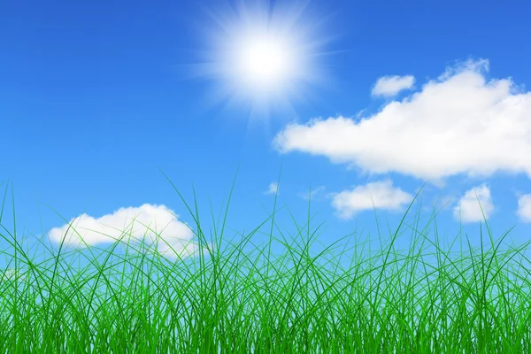 stock image Grass and blue sky