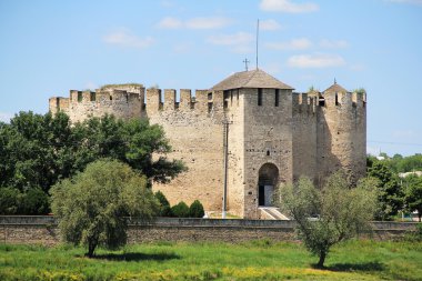 Soroca fortress clipart