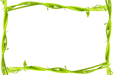 Vine frame clipart