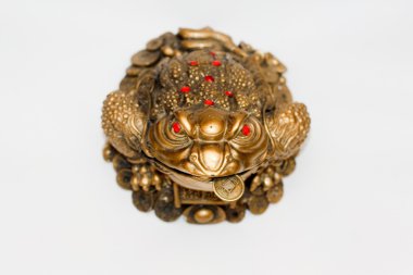 Çin feng shui sikke ile kurbağa. beyaz izole