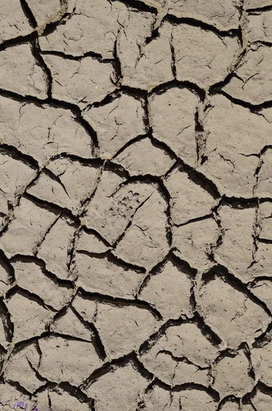 Gedetailleerde textuur achtergrond van gedroogde modder klei patroon Rechtenvrije Stockfoto's