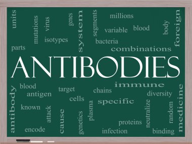 Antibodies Word Cloud Concept on a Blackboard clipart