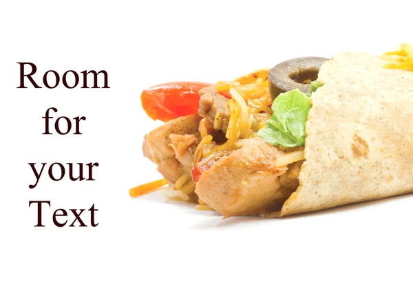 stock image Fajita with Room for Text