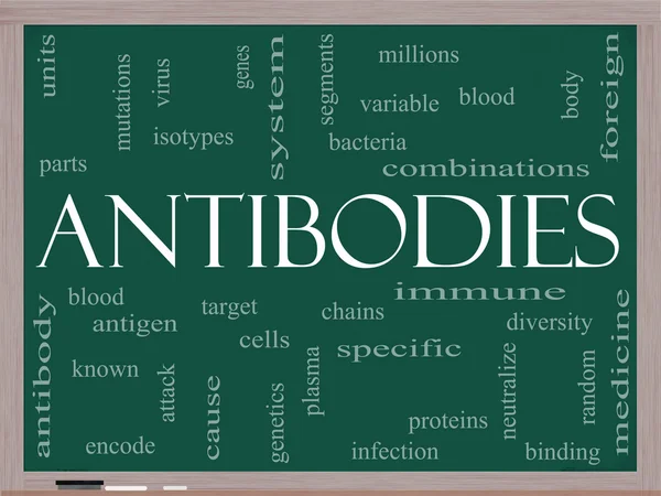 Antibodies Word Cloud Concept on a Blackboard — Stock Photo, Image