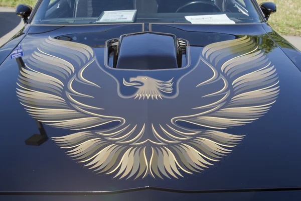 1980 Pontiac Firebird Trans Am Hood — Stock Photo, Image