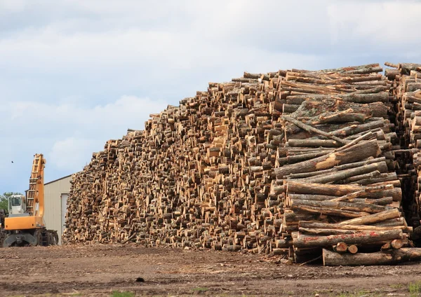 Drewno wszędzie — Zdjęcie stockowe