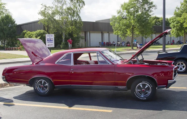1967 Pontiac Gto — Zdjęcie stockowe