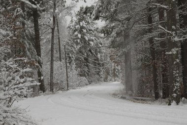 Snowy Road clipart