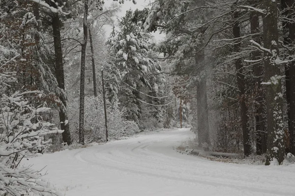 stock image Snowy Road