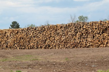 Huge stack of logs at the sawmill clipart