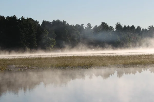 Nebel steigt über dem wilden Reis am Wisconsin-Fluss auf — Stockfoto