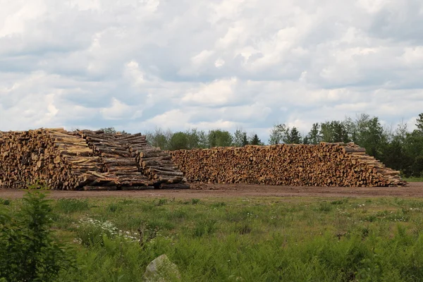 Two big stacks of logs — Stock Photo, Image
