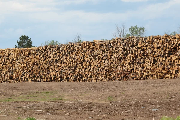 Gran pila de troncos en el aserradero — Foto de Stock
